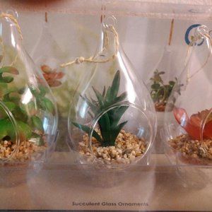 Succulent Glass Ornaments